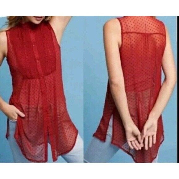 Anthropologie Sleeveless Sheer Tunic Top S Mesh embroidered Valentines - Picture 3 of 10